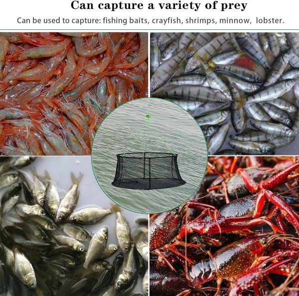 Drasry Fishing Net Trap for Bait Minnow Shrimp Crayfish Foldable Fish Crawdad Lobsters Cast Net Collapsible - Image 6